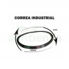 Correa dayco-pirelli xpz1162 9.5x11162