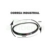 Correa industrial z24 10x610