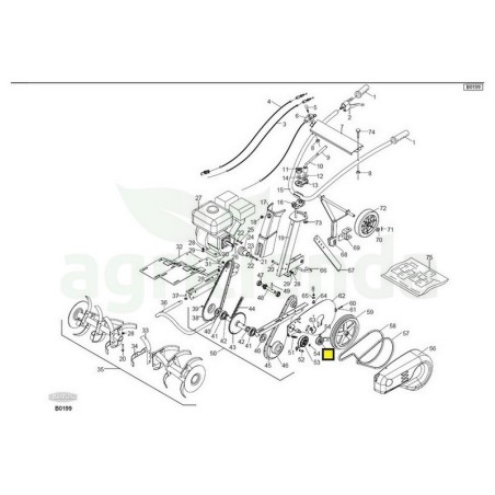 Polea tensor motoazada Barbieri b30