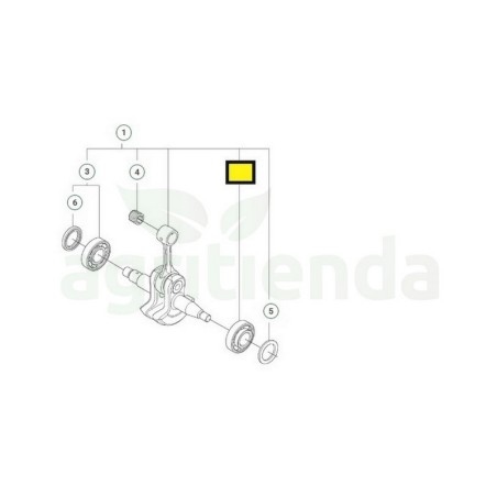 Rodamiento cigüeñal motosierra Husqvarna 555