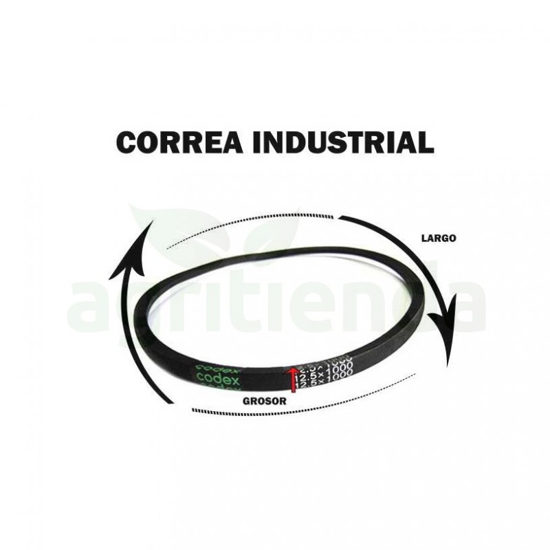 Correa industrial z30 1/4 10x770