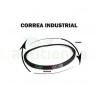 Correa industrial z30-3/4 9.5x785