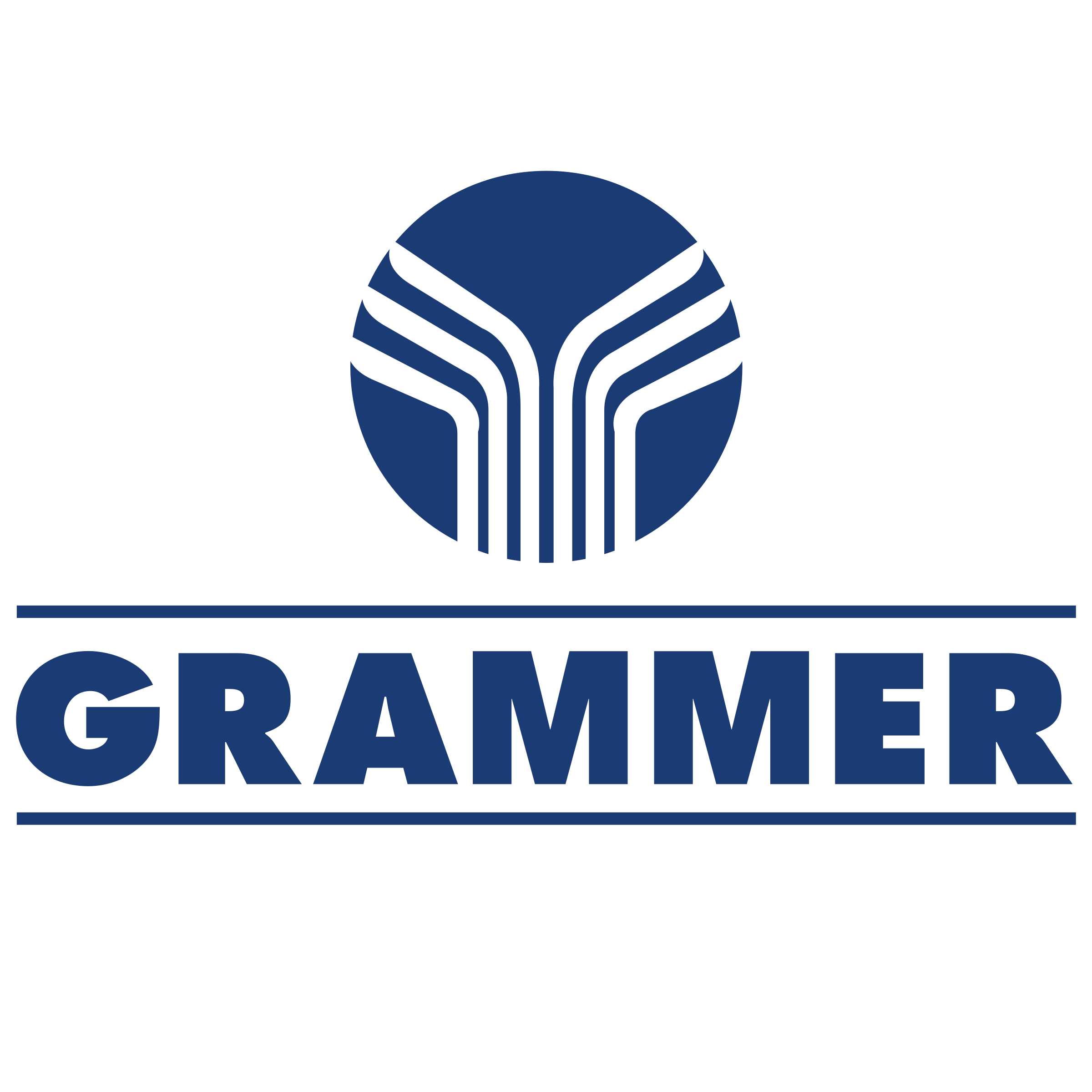 Grammer Asientos